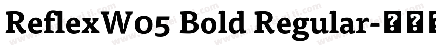 ReflexW05 Bold Regular字体转换